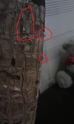 IMAG0049.webp