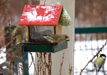 P1066960 Abwehr.webp