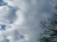 DSCF4768.webp