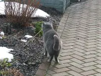 DSCF4770.webp
