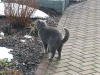 DSCF4771.webp