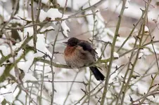 blog_6181.webp