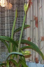 BILD0246.webp
