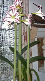 BILD0251.webp