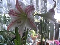 BILD0222.webp