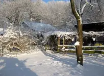 Garten.webp