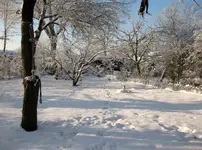 Garten (2).webp