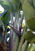 IMG_1145.webp