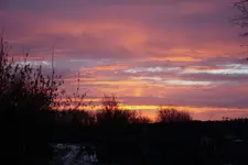 09.01 (5).webp