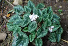 DSC_0054.webp DSC_0054.webp