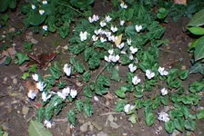 DSC_0055.webp DSC_0055.webp