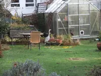 DSCF0076.webp
