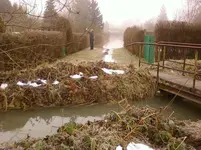 Foto0495.webp
