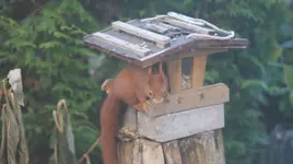 DSC04600.webp