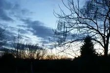 DSC01501.webp