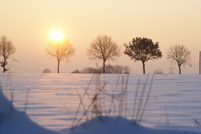 DSC06432.webp