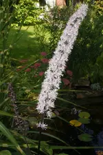 DSC09853(1).webp