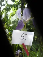 DSC05346.webp
