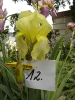 DSC05376.webp