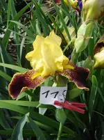 DSC05380.webp