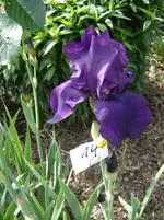 DSC05386.webp