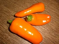 CIMG7372.webp