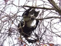 Bild 474.webp