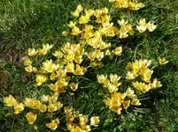 P1010287.webp