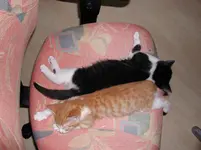 DSCN1588.webp