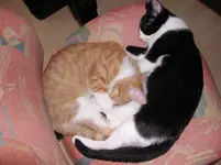 DSCN1655.webp
