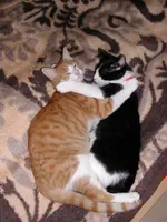 DSCN1677.webp