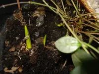 DSC03199.webp
