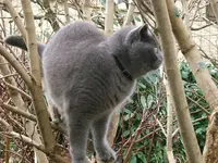 DSCF4787.webp