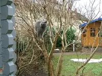 DSCF4788.webp