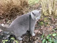 DSCF4789.webp