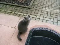 DSCF4798.webp