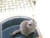 DSCF4799.webp