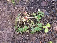 DSCF4790.webp