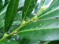 DSCF4797.webp