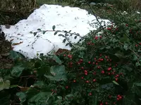 DSCF4794.webp