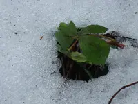 2011 01 15 087.webp