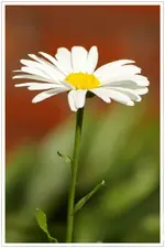 HG_04.webp