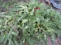 IMG_3712.webp