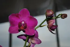 DSC_1201.webp