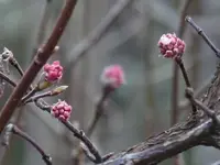 P1030842.webp