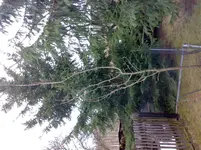 11012011311.webp