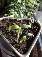 DSCF3018.webp