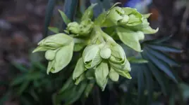 DSC04641.webp