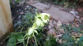 DSC04642.webp