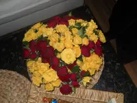 DSCN0440.webp